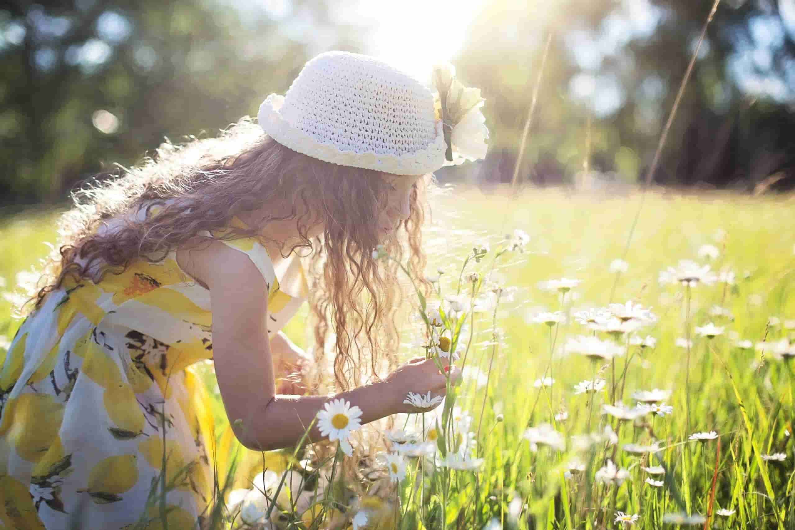 A young girl with long curly hair, wearing a white hat and a yellow dress adorned with lemons, kneels in a sunlit field of white daisies, gently picking flowers. Sunlight creates a glowing effect around her.